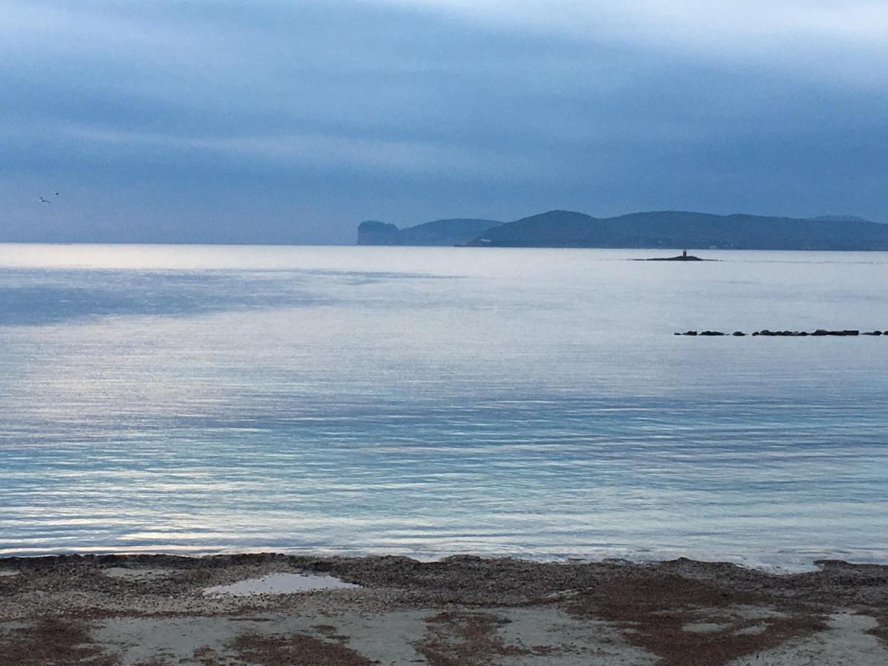 Il Mare Di Alida Apartment อาลเกโร ภายนอก รูปภาพ