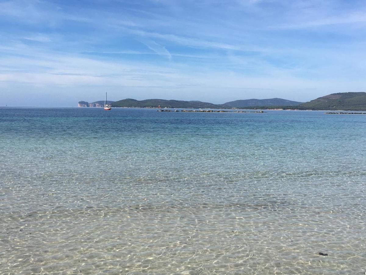 Il Mare Di Alida Apartment อาลเกโร ภายนอก รูปภาพ
